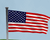 USA Flag Pole Animated
