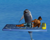 Zing.animated dolphin