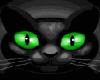 CxE~Green Eyed Kitty!