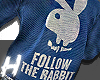 Bunny Leads H.O