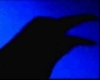 black blue raven rug