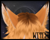 ★ KIDS Fox Girl Ears