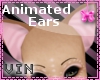 !!VM$ SP Ani Cat Ears