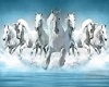 m14 White Horse Water wa