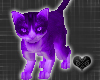 *-*Cute violet Cat Pet