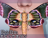 [E]*Giant Moth*
