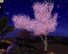 Animated cherry blossom