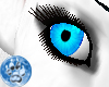 [S]DkPtel Blue Eye {F}