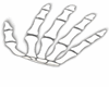 Sexy Skelton Bracelots