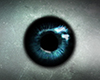 Eye Spy (Ice) 