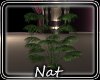 NT Illusions Planter 3