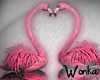 W° Flamingos Couple