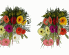 ch)flowers gerberas