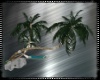 Fun Beach Palm w Ani Pos