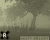 Misty Melody Lake