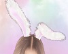S! Bunny maid ears