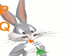 Bugs Bunny Carrot M/F