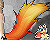 神. AC Audei Tail