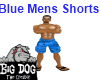 [BD] Blue Men's Shorts