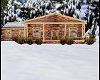 Snowny Cabin
