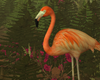 Jungle Tropica Flamingo
