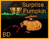 [BD] Pumpkin Surprise