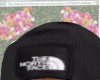 NF beanie