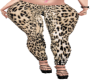 Brown Tiger Pants EL