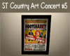 ST Country Art Concert 5