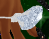 Large Diamond Ring Right