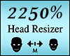 Head Scaler 2250%