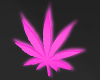 Weed Neon pink