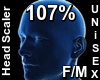 F/M Head Scaler 107%
