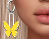 !B Hello Spring Ear. DRV