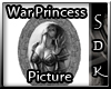 #SDK# War Princess Pic
