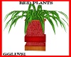 RED PLANT