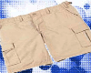 (DT) Khaki Shorts