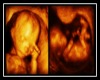 Baby  3D Pic