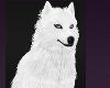 White Howling Wolf Pet Pets Animal Animals Forest Creatures