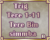 [B]Tere Bin song
