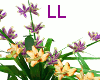 LL: Flowers