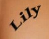 tatoo Lily