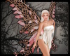 +Twiggy Wings - blush