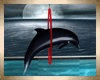 Dolphin Black   V.A