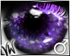 Purple Haze (male)