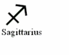 sagittarius sign sticker