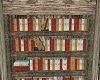 Castle BookShelves