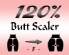 Butt / Hips Scaler 120%