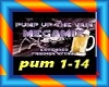 Pump Up Megamix  P1
