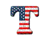 (1) American Flag "T"